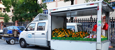 祥菱小財鹿，人生新起點